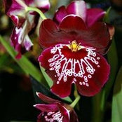 Carolyn Benner's photo