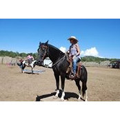 Cathy McManus's photo