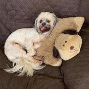 Stephen Cracchiolo's photo