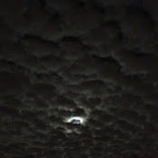 Foto von Ken Throw