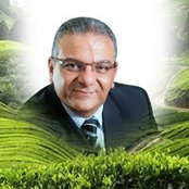 Ashraf Tadrous's photo