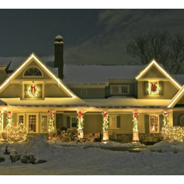 Winter Wonderland of Trees & Bushes