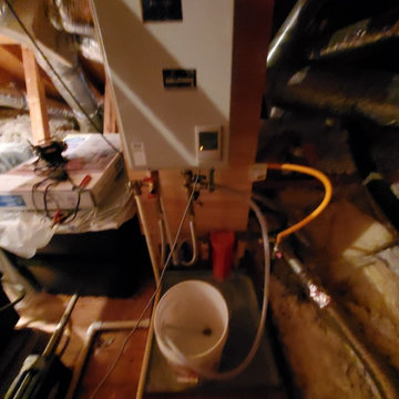 Tankless Hot water Heater Flushed Clean