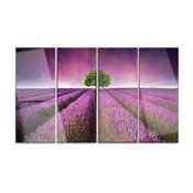 "Lavender Field Sunset With Single Tree" Metal Art, 4 Panels, 48"x28"