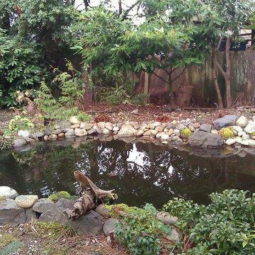 Our Work