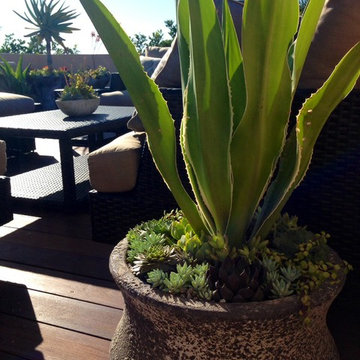 Ocean Blvd roof deck