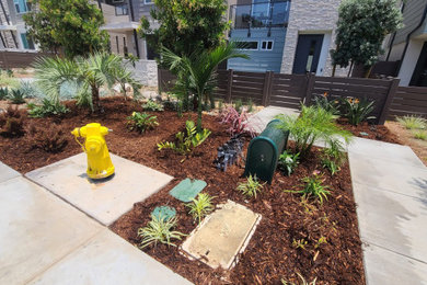 Inspiration for a small tropical full sun front yard gravel landscaping in San Diego for summer.