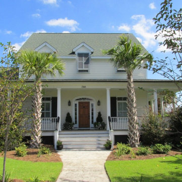 Palm Tree Gallery