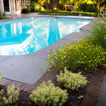 Poolside Privacy