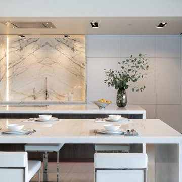 Bighorn Palm Desert luxury home modern kitchen interior design