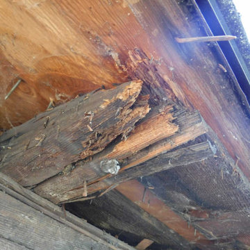 Soffit With Dry Rot Damage