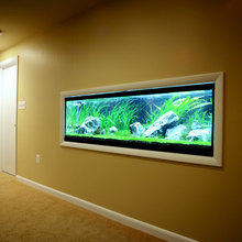 aquarium