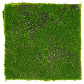 2 sq. ft Preserved Moss Pillow Moss Moss for Potted Plants Artificial Fake  Mo