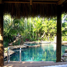 Tropical Paradise