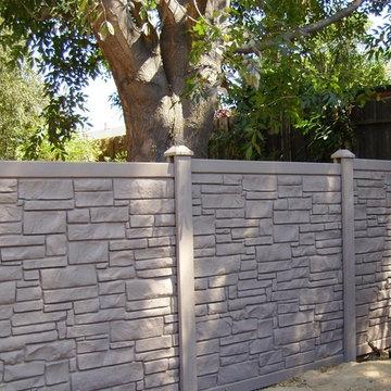 Privacy Fencing (2)