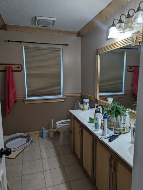 Bathroom wall colour