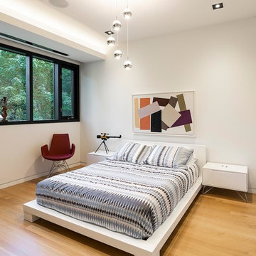 Luxury Lane - ZIP-CLIK® System Modern Reveal