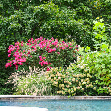 Botanical Bay