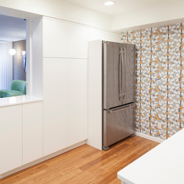 Akron Retro Kitchen  Renovation