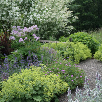 Rustic Cabin Cottage Garden