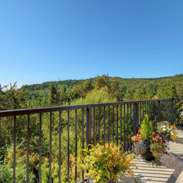 1499/1499B Trail Way - $1,695,000 – MLS Res 885121 / Com 885130