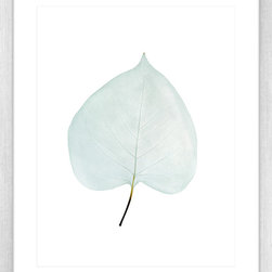 Fragile Leaves Collection - Framed Art Prints (FRAG03) - Artwork