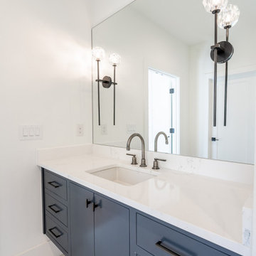 Brookhaven Contemporary Custom