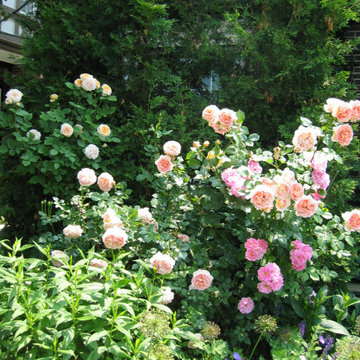 The Gardens of Governors Manor