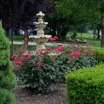 Water Feature and Planting Design - Waldorf, MD