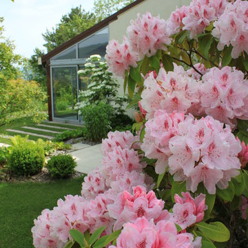UN JARDIN A CARACTERE NATUREL & CONTEMPORAIN / 3500 m2 / AIN (01)