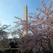 Jenny Kronner's photo