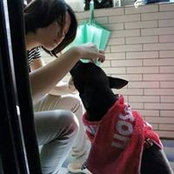 Yi-An Lu's photo