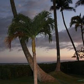 Leanne Byrom's photo