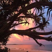 Sandra Sargent's photo