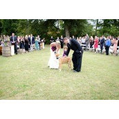 Torie Kosiba's photo