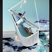 Erica Besen's photo