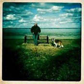 Wayne Sebrings foto