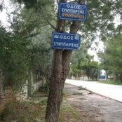 Angeliki Vessala's photo