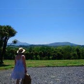 Laura Chiper's photo