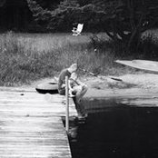 Tobin Kardish's photo