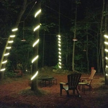 Terrace With Trees