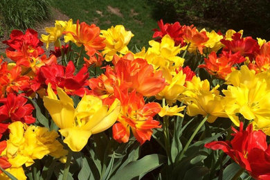 Inspiration for a landscaping in Other.