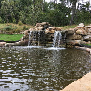 Swimming Hole