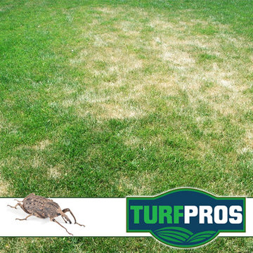 TurfPros
