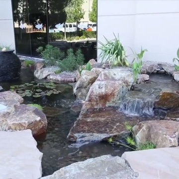 Pond Build for Nat Geo Wild’s & Animal Planet's “Tanked” Headquarters!
