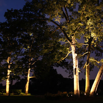 Outdoor Lighting