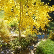 MAJOR POND WATERFALL PROJECT