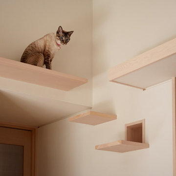 キャットウォークでおひとりさま