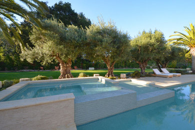 Inspiration for a mediterranean pool remodel in San Francisco