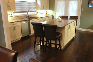 Kitchen - transitional kitchen idea in Toronto